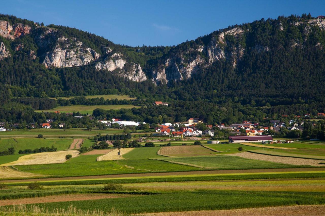 Farmhouse - Hohe Wand Hotel Stollhof Екстериор снимка